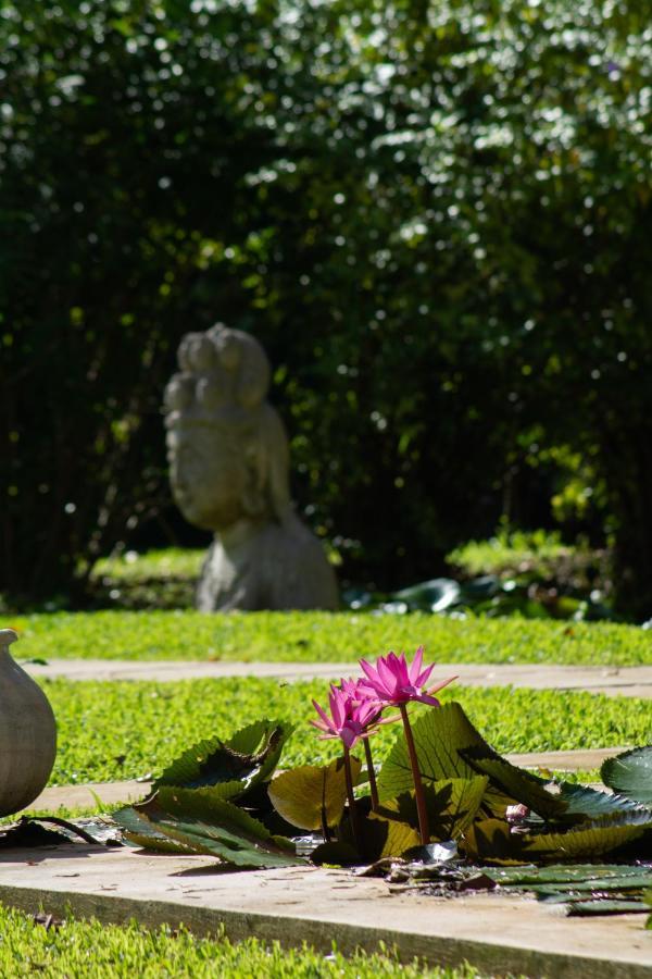 Lanna Ban Hotel Puerto Viejo de Talamanca Exteriör bild