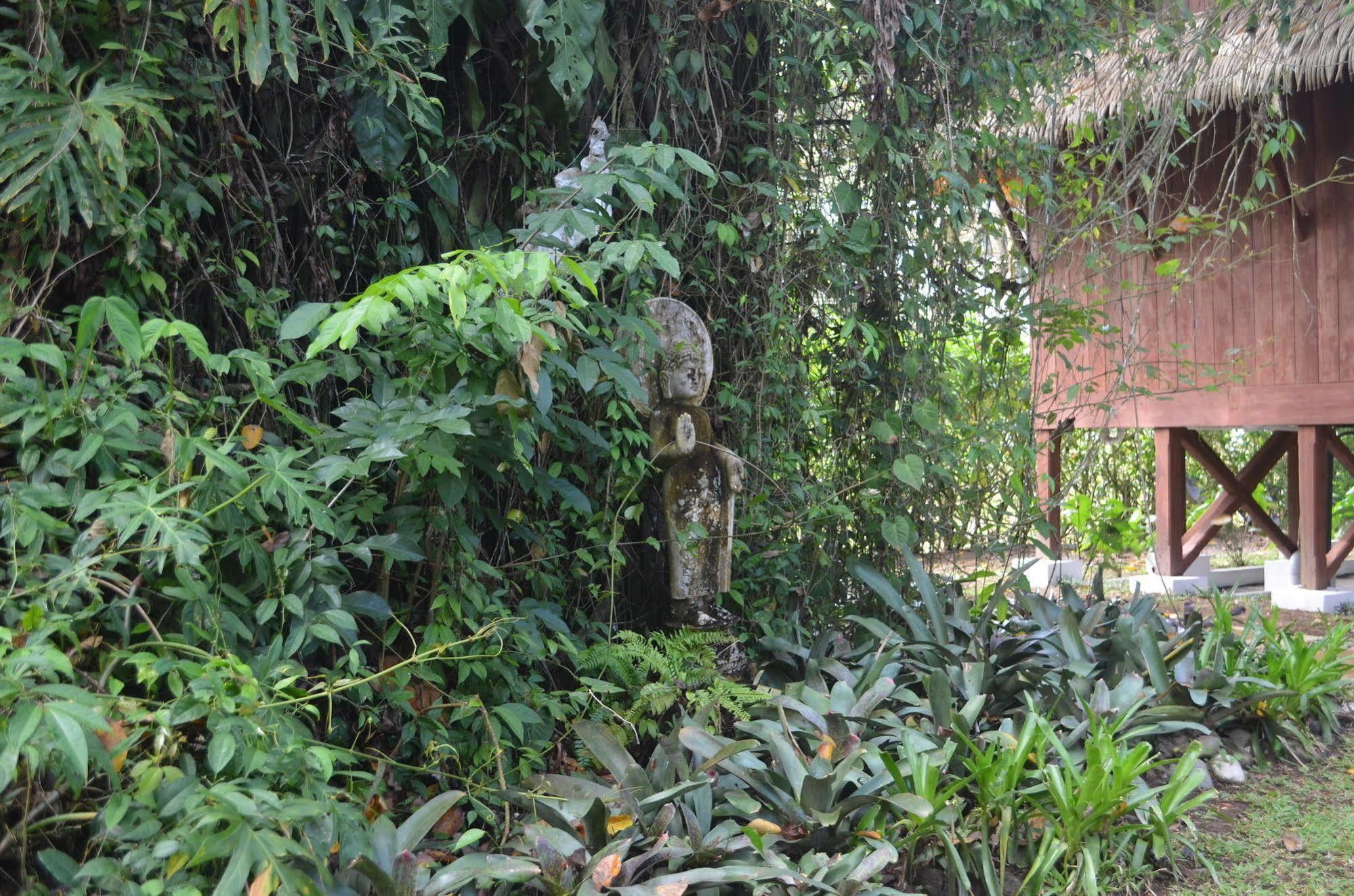 Lanna Ban Hotel Puerto Viejo de Talamanca Exteriör bild